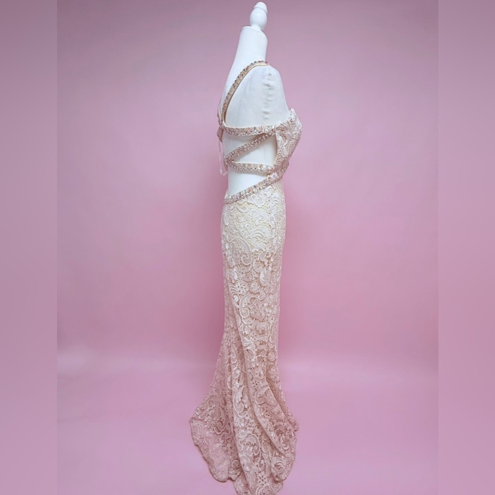 Stunning Lace Evening Gown - Picture 12 of 16